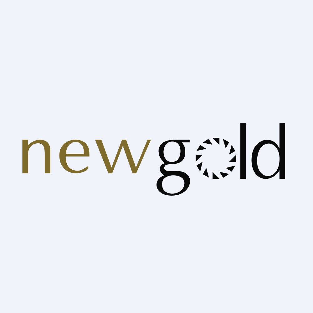 New Gold Inc. /FI