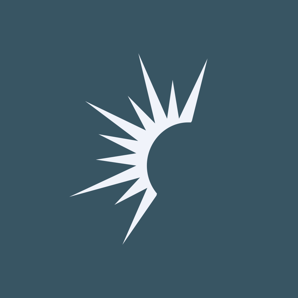 Solaris Energy Infrastructure, Inc. logo